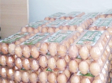 祥如盒裝柴雞蛋